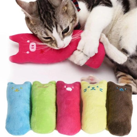 Catnip Pillow Toy